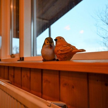 Thingvellir Cabin/Chalet Selfoss Buitenkant foto